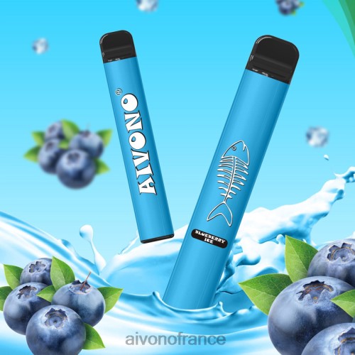 Aivono AIM FISHBONE 600 glace aux myrtilles 88PBH279 - Aivono France
