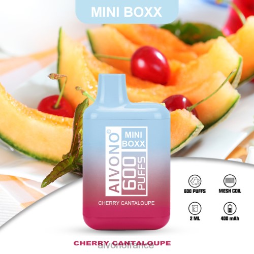 Aivono AIM MINI BOXX 600 cantaloup cerise 88PBH239 - Aivono France