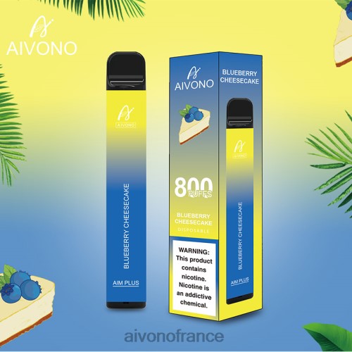 Aivono AIM PLUS 800 cheesecake aux myrtilles 88PBH174 - Aivono France