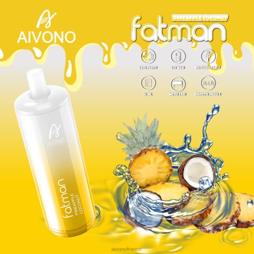 Aivono FATMAN 6800 ananas noix de coco 88PBH29 - Aivono France