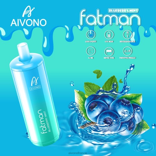 Aivono FATMAN 6800 menthe myrtille 88PBH22 - Aivono Vape