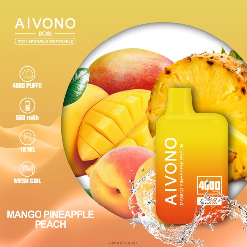 Aivono AIM BOXX 4000 mangue ananas pêche 88PBH219 - Aivono France